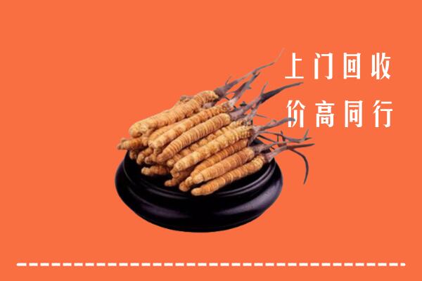 高价求购：东山区回收散虫草