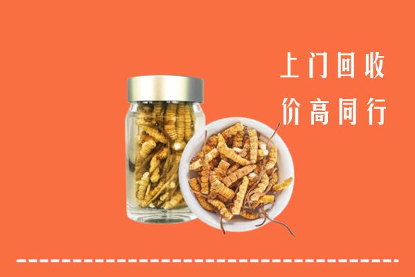 东山区回收冬虫夏草