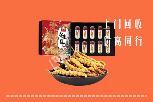 东山区回收虫草